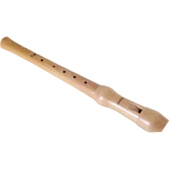 Top 10 🧨 Hohner Hohner 9522 2 Piece Maple Soprano Baroque Recorder 🎉